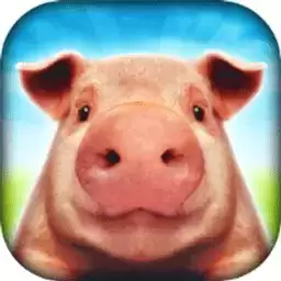 小猪猪模拟器手机