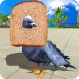 鸽子鸟模拟器手机