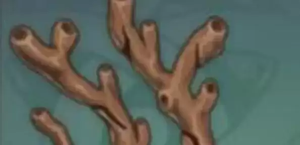 《原神》远海夷地的瑚枝如何获得