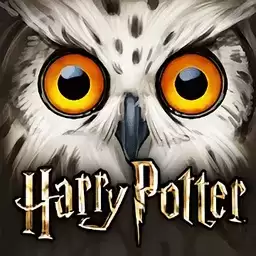 Harry Potter Hogwarts Mystery