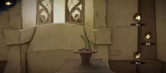 《哈利波特魔法觉醒》寝室种花方法