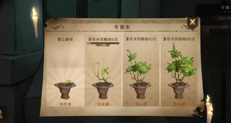 哈利波特魔法觉醒冬青木成长周玩法攻略
