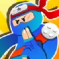 ninja