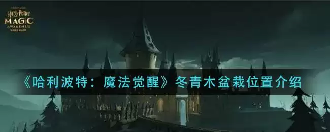 《哈利波特：魔法觉醒》冬青木盆栽位置介绍