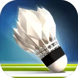 羽毛球高高高手