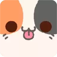 小偷猫