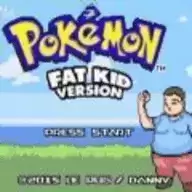 口袋妖怪胖男孩汉化
