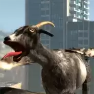 山羊的秘密