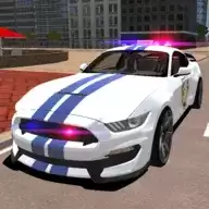 Mustang Police Car Dri