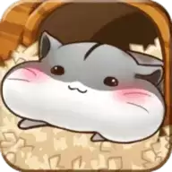 仓鼠的生活
