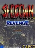 惩罚者无限子弹弹药版游戏