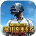 pubg(国际服)安装安卓