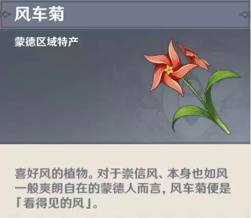 《原神》风车菊分布位置分享