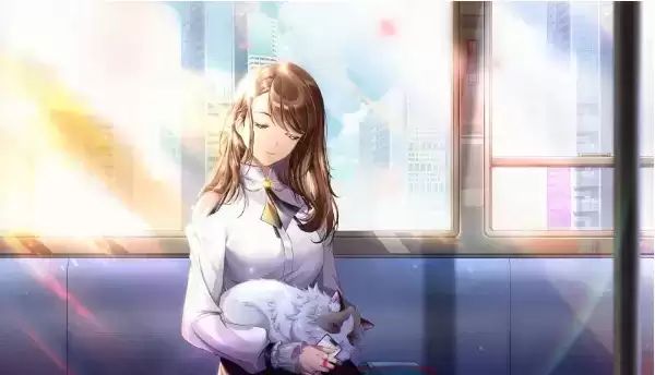 《猫之宿约者》3-14怎么通关