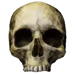 铁锈战争生化狂潮5mod