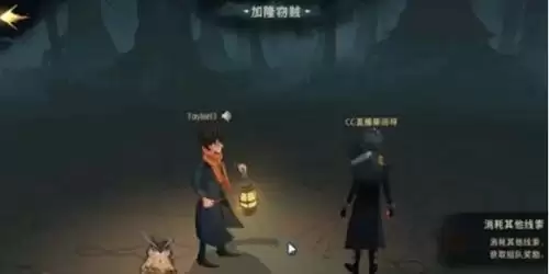 哈利波特魔法觉醒双人剑宗哈利怎么打