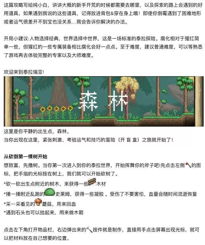 《泰拉瑞亚》萌新向的最全开荒指南