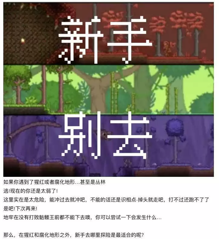 《泰拉瑞亚》萌新向的最全开荒指南