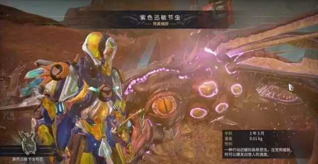 星际战甲紫色迅敏虫 在哪里刷