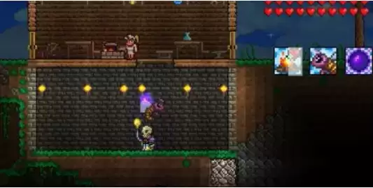 《泰拉瑞亚》太阳花盆栽为什么长不出