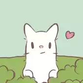 猫与汤