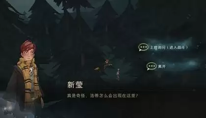 哈利波特魔法觉醒洛蒂彩蛋在哪里