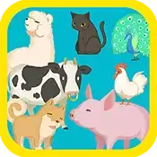 人鱼爱丽儿的时尚