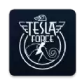 特斯拉战队