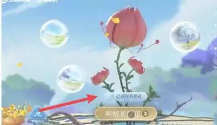 王者荣耀祈愿花怎么用？祈愿花活动攻略[多图]图片1