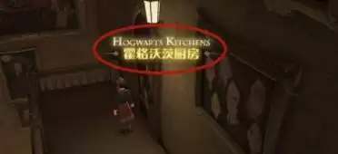 哈利波特魔法觉醒霍格沃茨厨房在哪