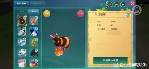 创造与魔法南瓜蜜蜜资质介绍