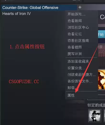 csgo国服启动项在哪设置?csgo国际服与国服启动项自由切换