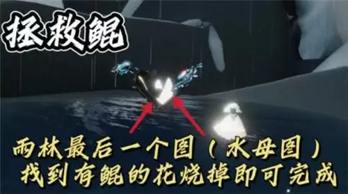 光遇11.8每日任务完成攻略2021