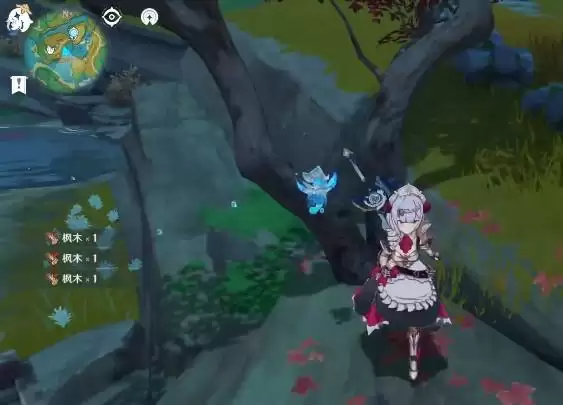 原神枫木在哪采集