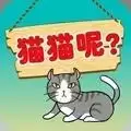 我的猫咪