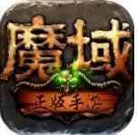 变态魔域255级999星(七个宝宝)