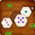 六角数字拼图