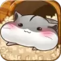 仓鼠的日常中文