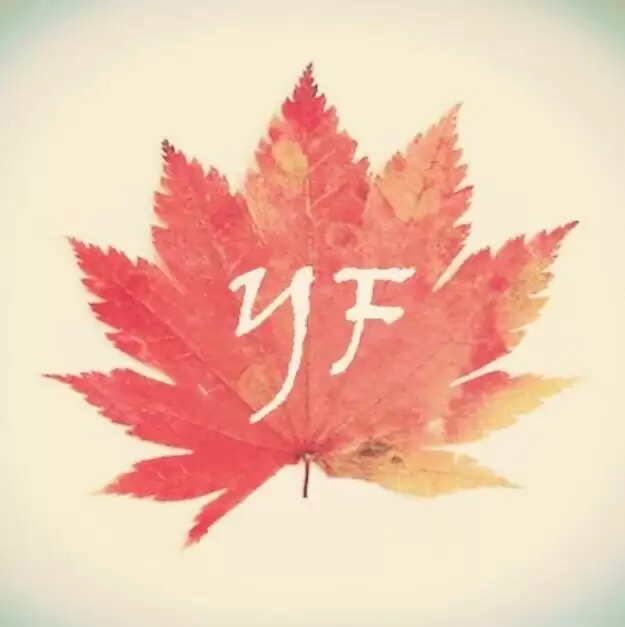 我的世界混沌生存叶枫