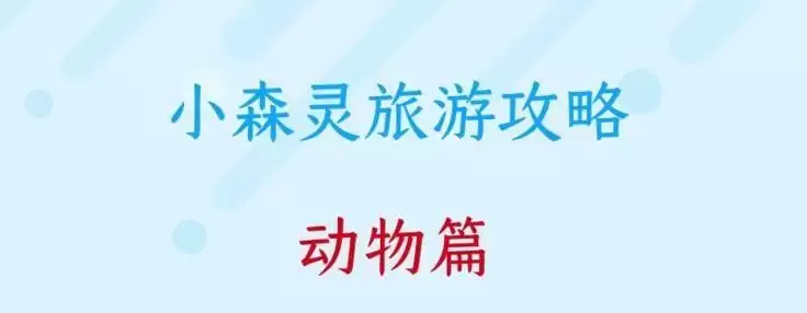 小森灵动物旅游攻略