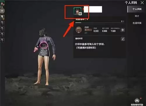 《绝地求生未来之役》怎么改旗子