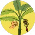 破坏热带植物游戏手机