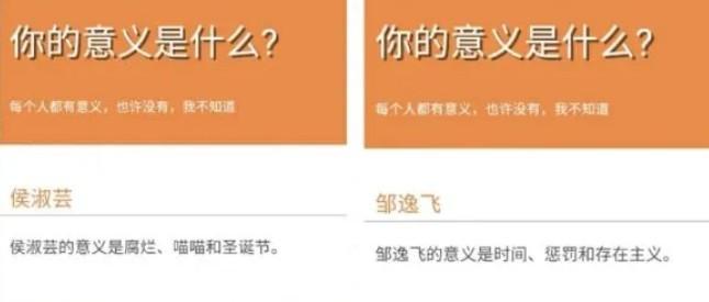 你的意义是什么鬼东西