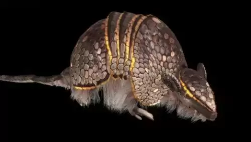 妄想山海万年嘉犰狳在哪 妄想山海万年嘉犰狳位置