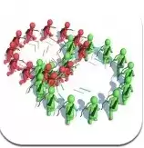 围攻弓箭手(Archers