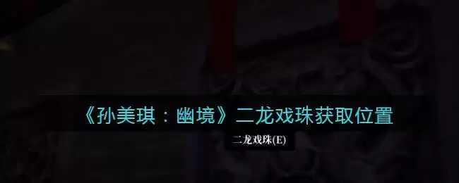 《孙美琪疑案:幽境》五级线索——二龙戏珠