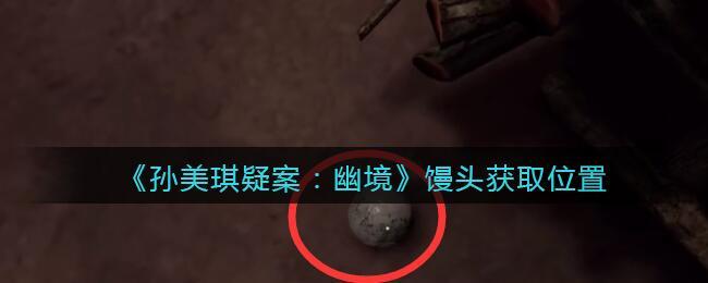 《孙美琪疑案：幽境》五级线索——馒头