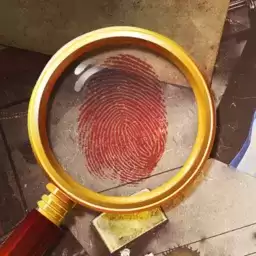 福尔摩斯之旅隐藏物品(Sherlock)