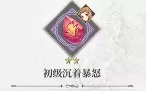 终焉誓约沉着暴怒符文怎么样