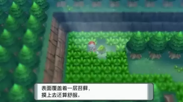 《宝可梦晶灿钻石明亮珍珠》伊布家族进化方式一览